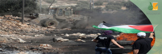 الشعراء  والأدباء ونصرة فلسطين 