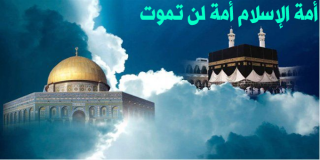 أمة لن تموت 