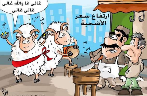 ارتفاع سعر الأضحية